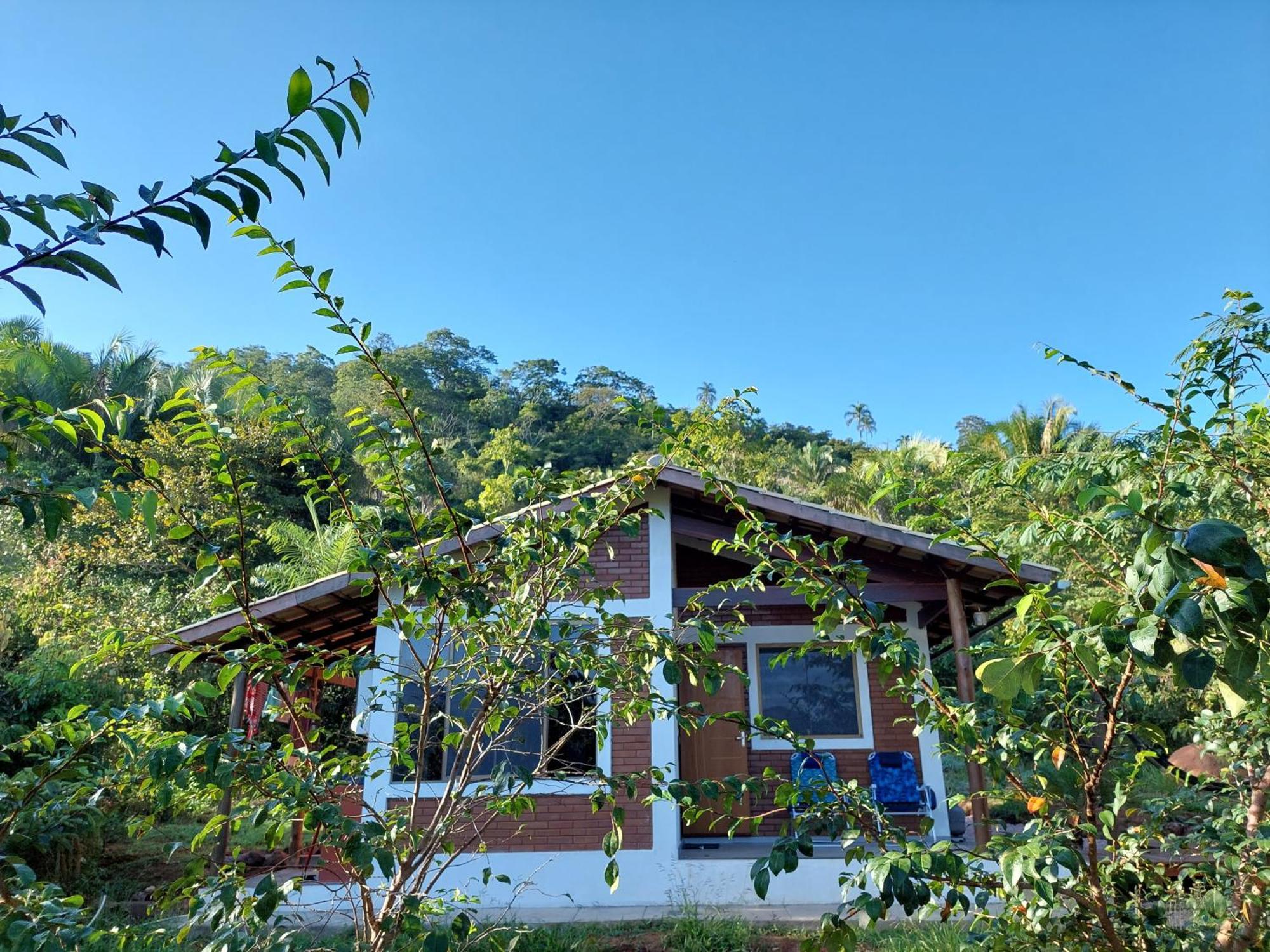 Refugio No Meio Da Natureza - Chale Brisa Da Mata Alto Paraíso de Goiás エクステリア 写真